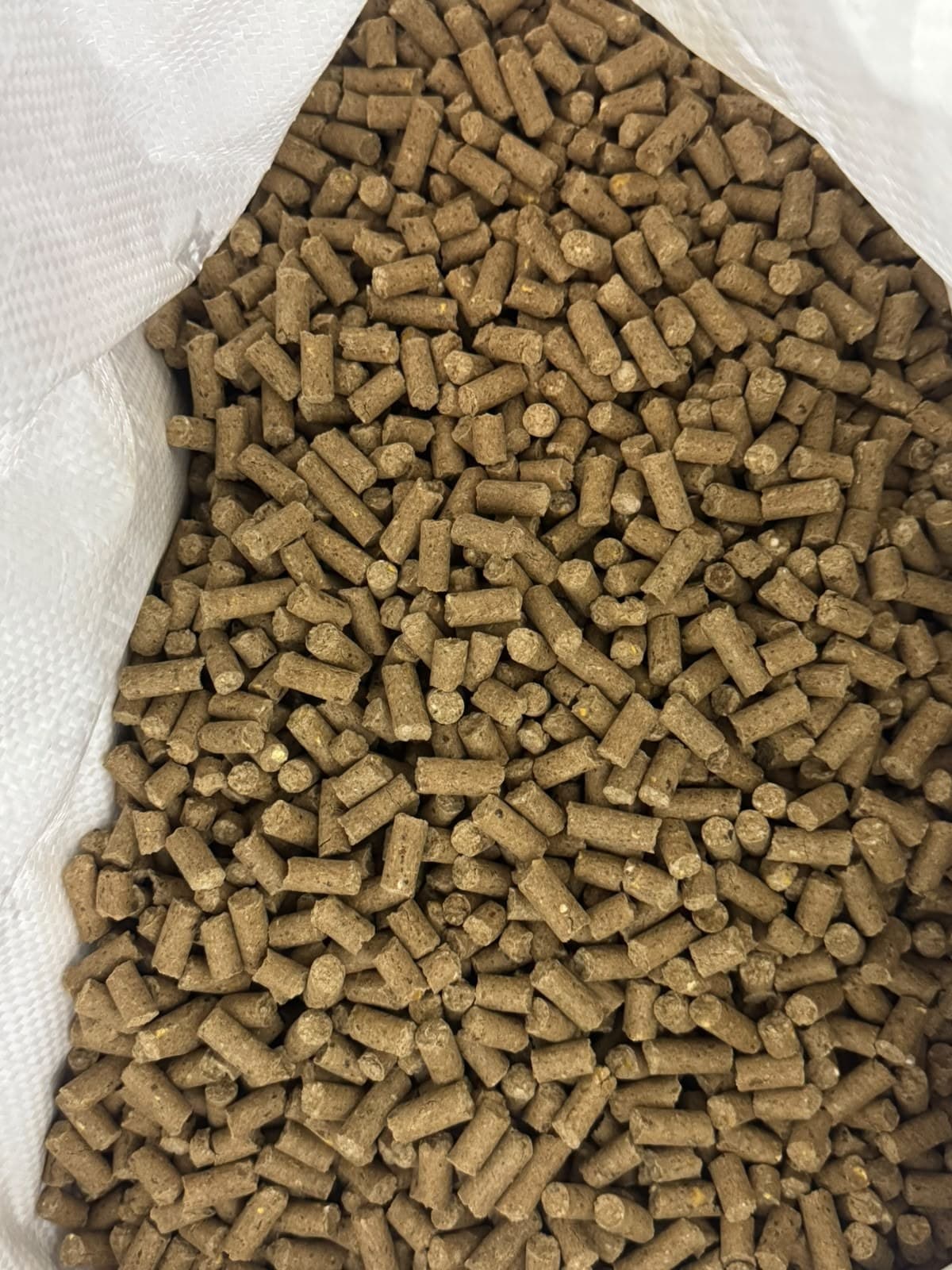 Samridhi cattle feed pellet — magnified specimen view